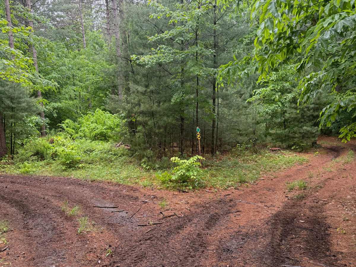 Wildcat Road Green Trail Loop photo 4