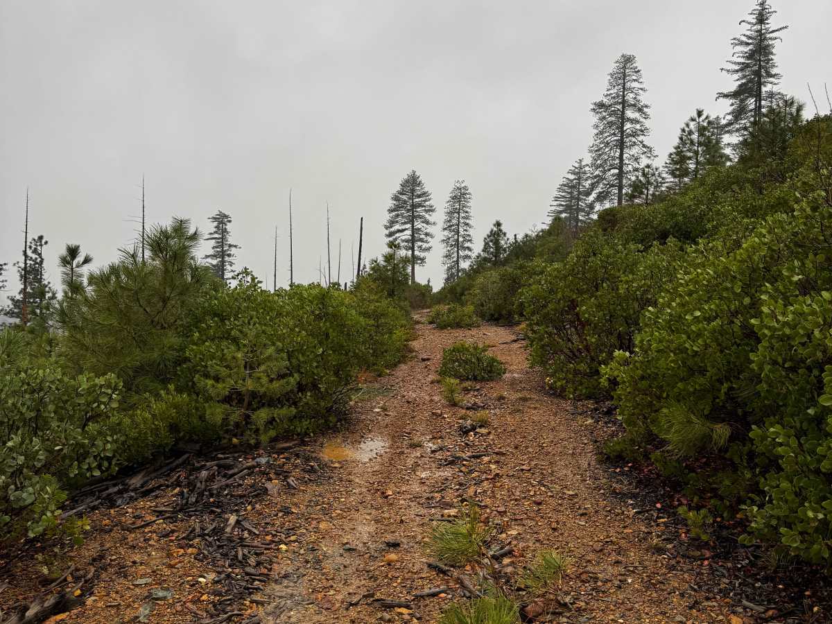 Ford Point Spur photo 6