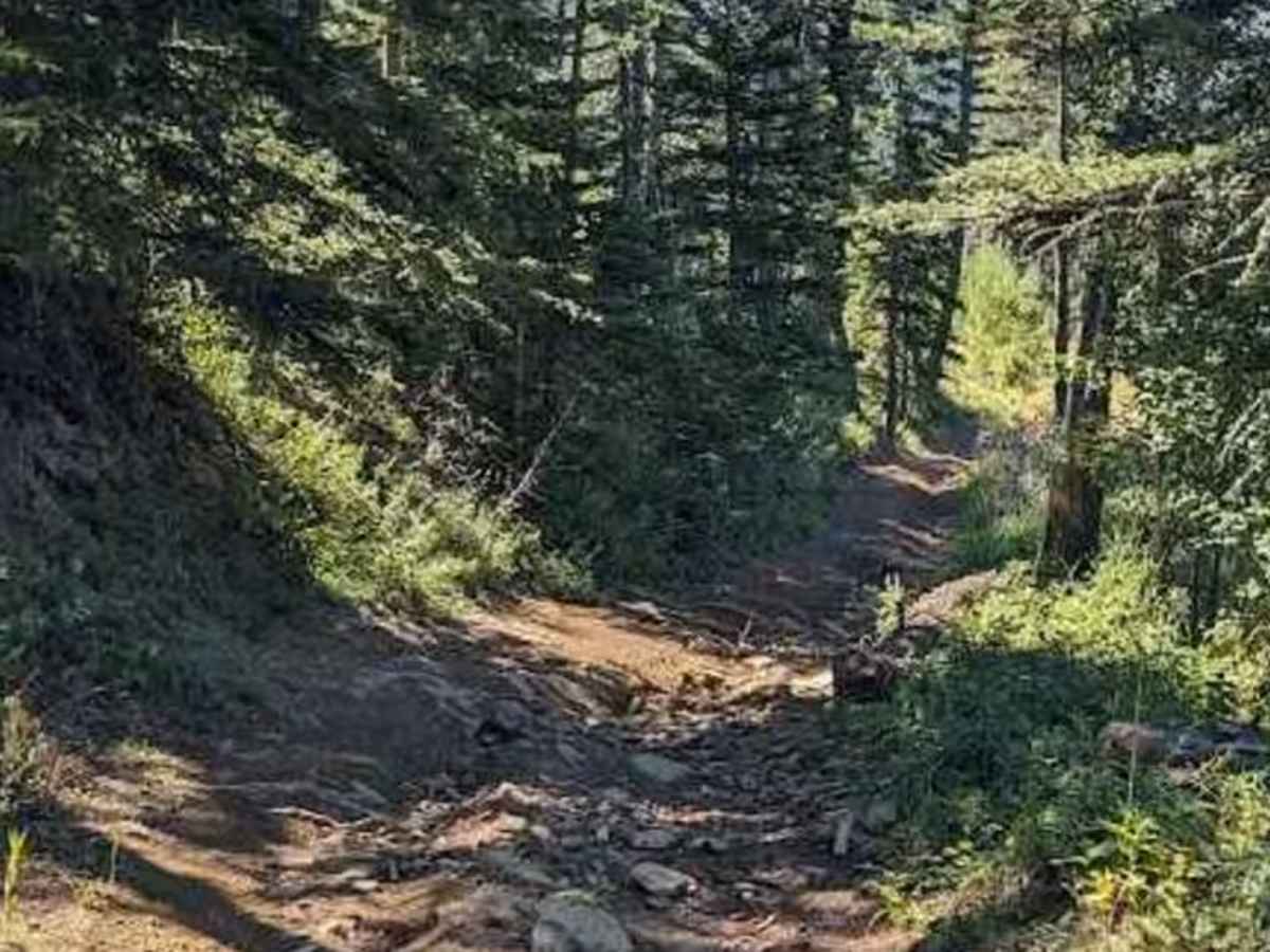 Porcupine Hills Trail 30-33 photo 6
