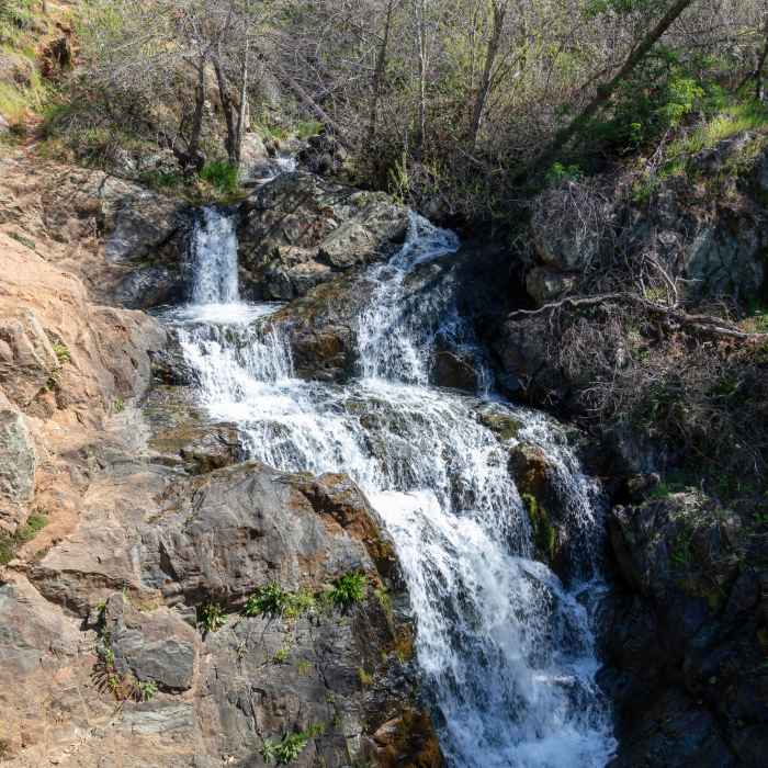 Near Hidden Falls Loop