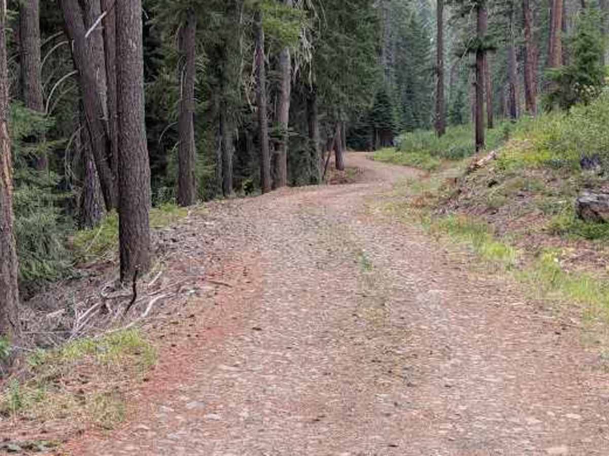FS 9701 trail photo