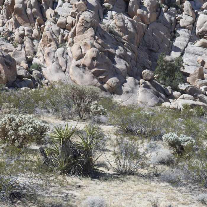 Near Indian Cove Nature Trail