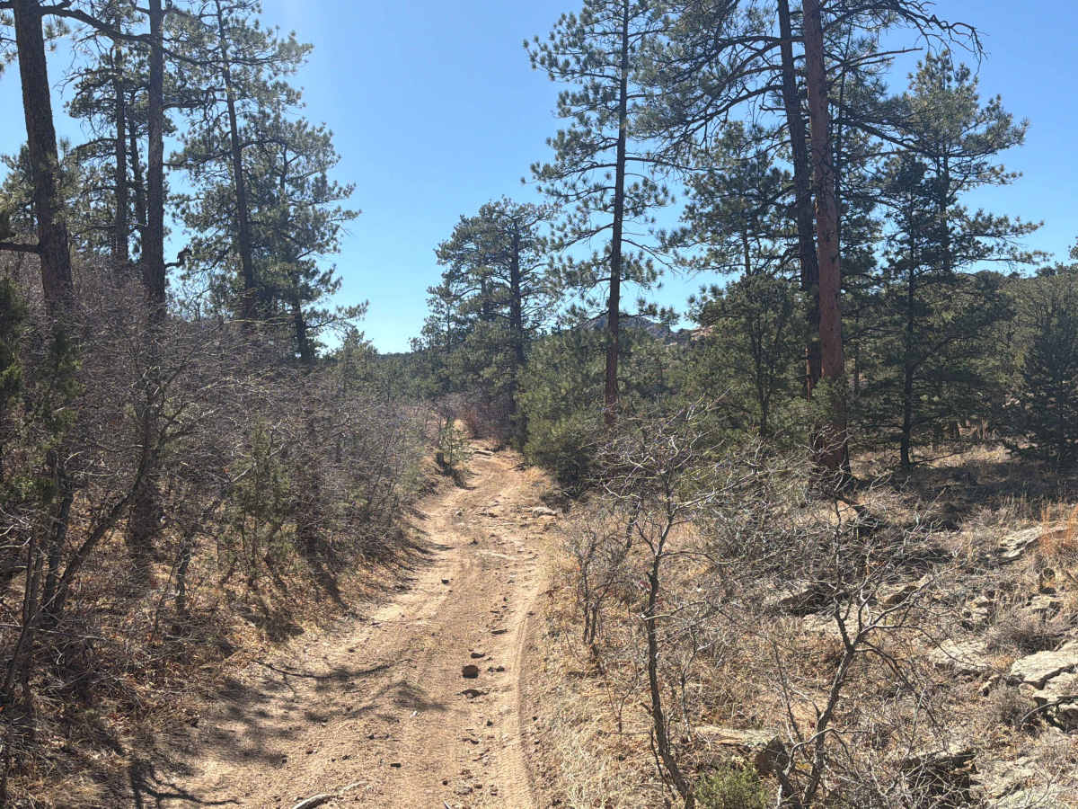 BLM 5830E photo 5