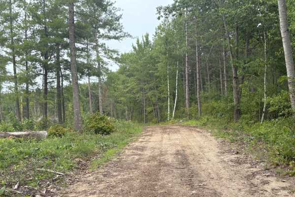 Navillus Forest Road