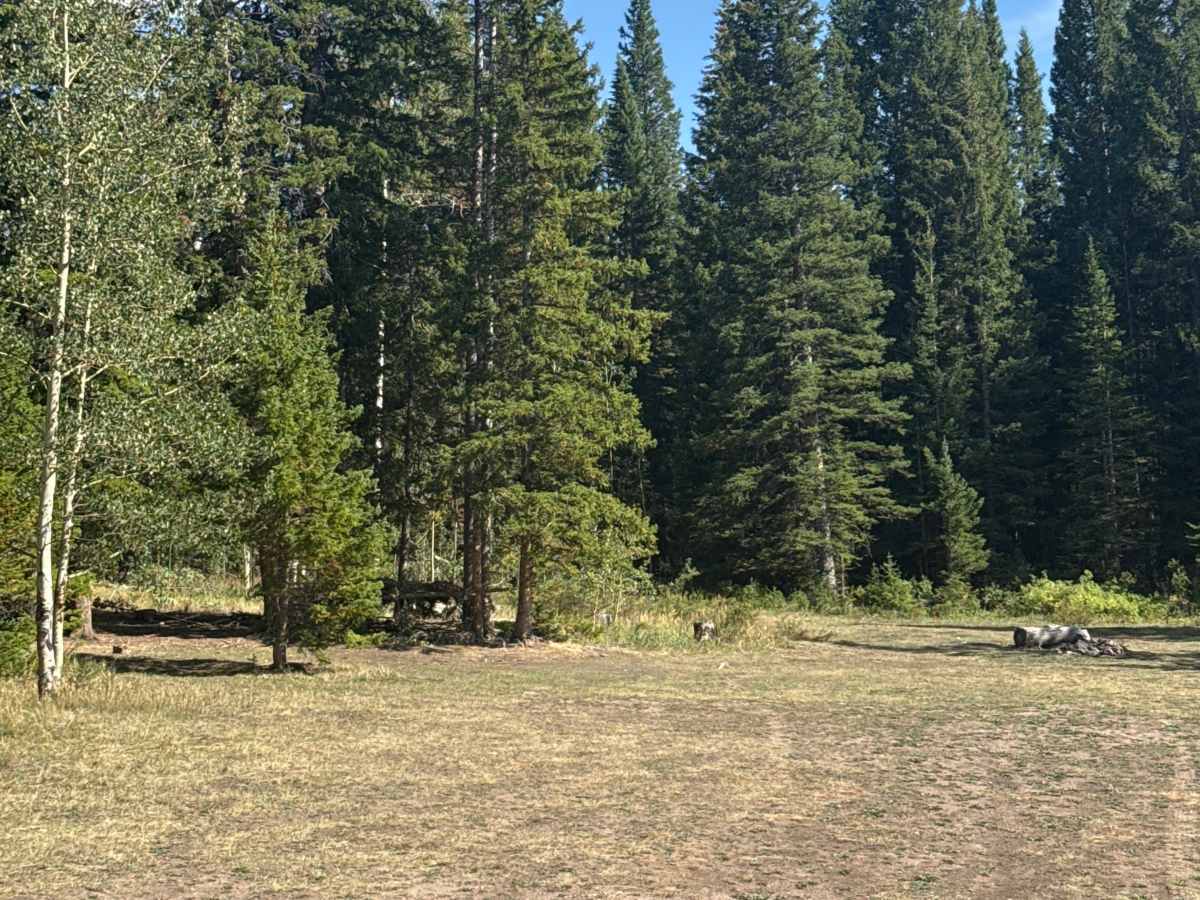 Spruce Creek Road photo 4