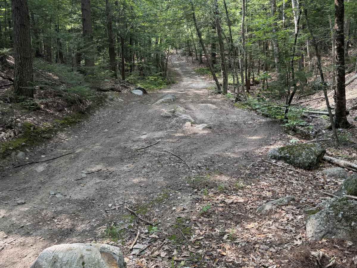 Cunningham Pond Road photo 5