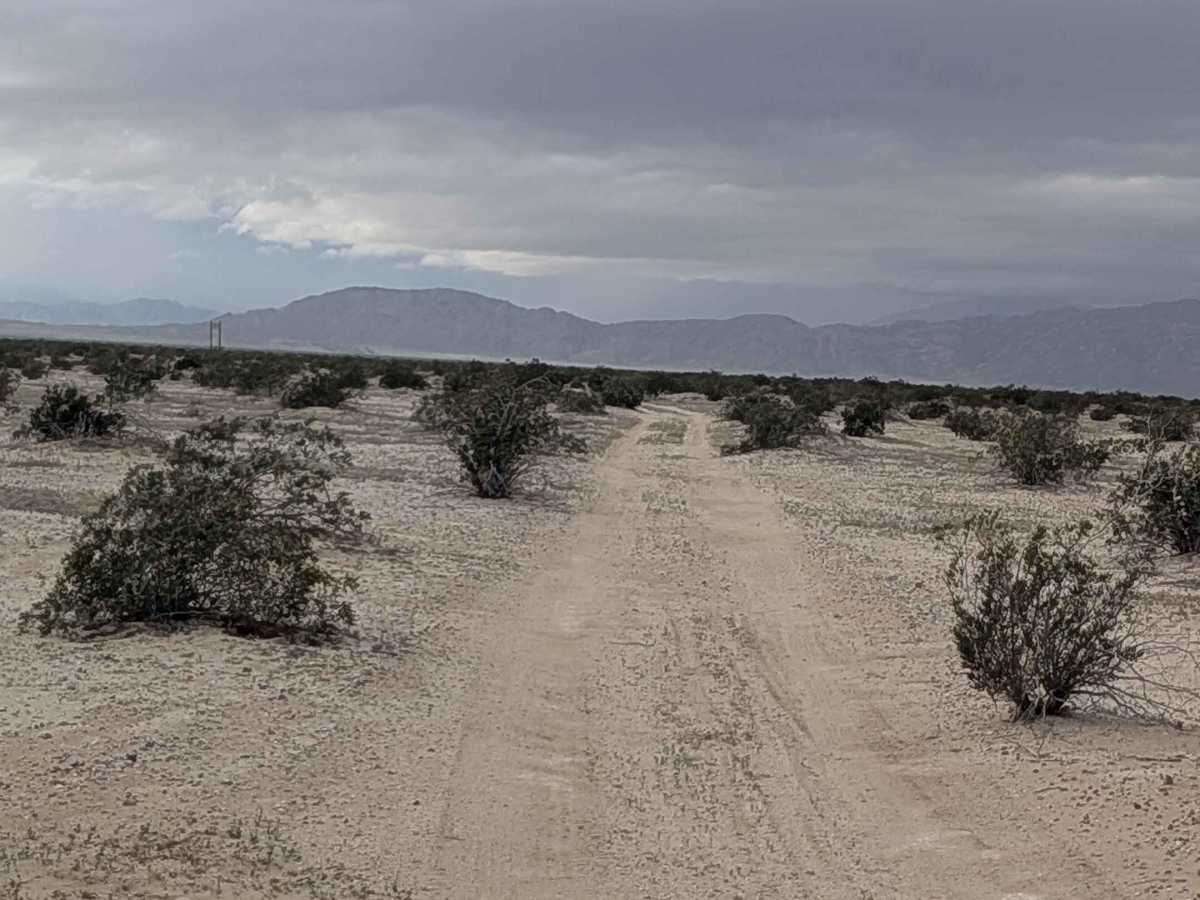 BLM 343 photo 2