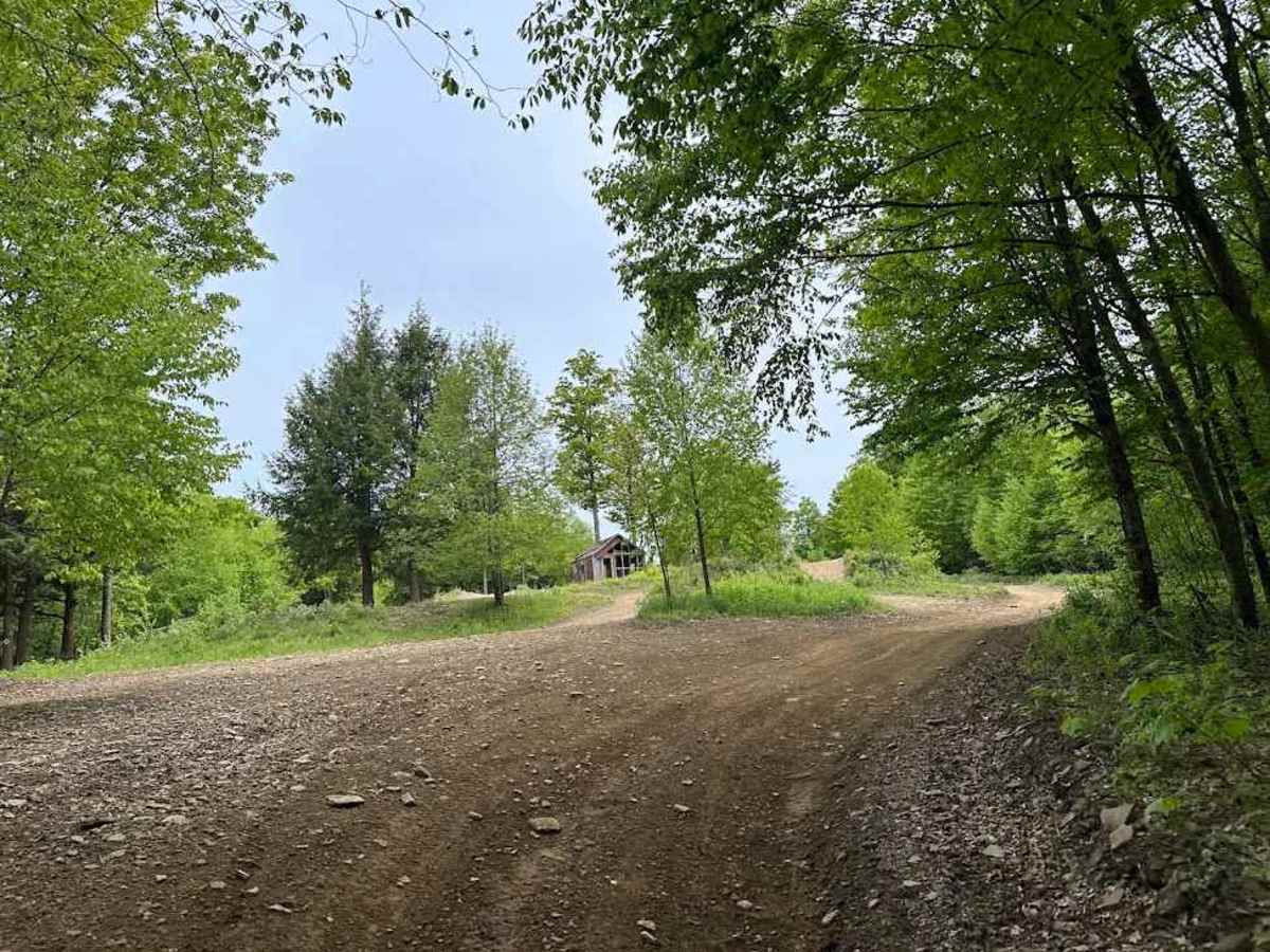 MX Track trail photo
