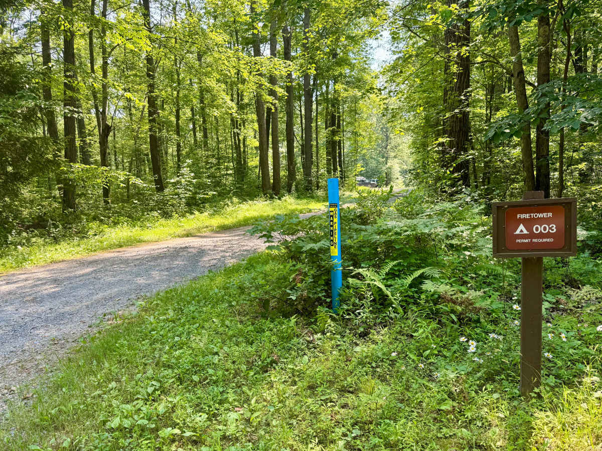 Firetower Road photo 5