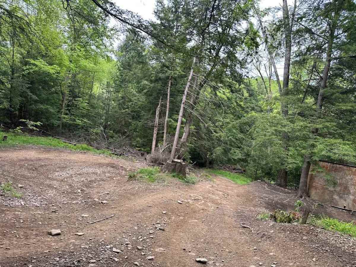 D Blue D7 & D9 trail photo