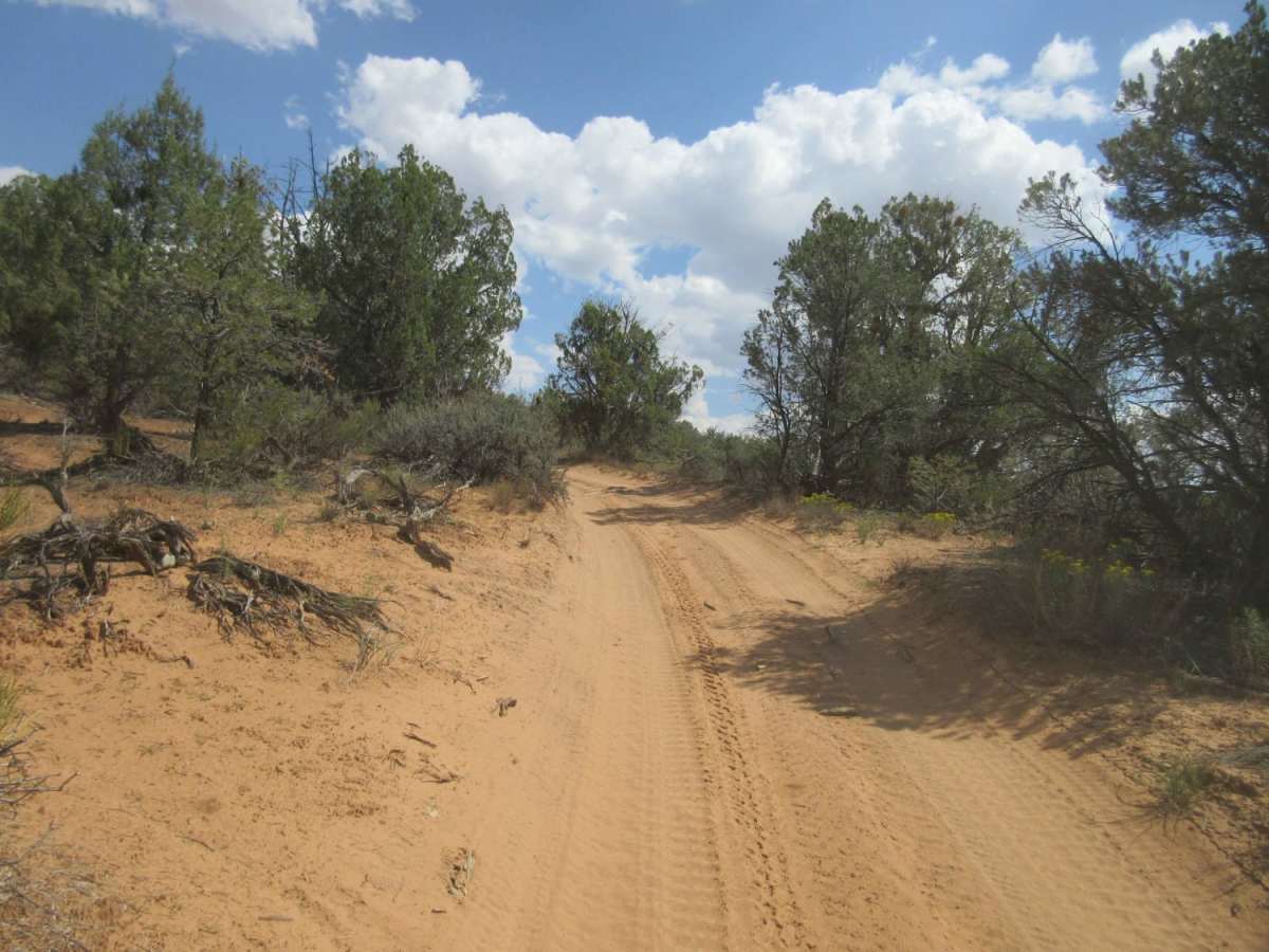 Poverty Gulch Decent photo 4