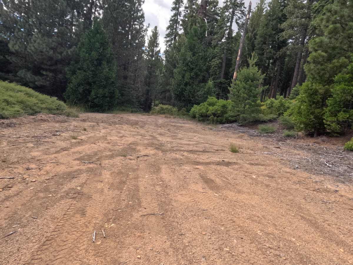 East Driscoll Spur - FS 12N40A photo 5