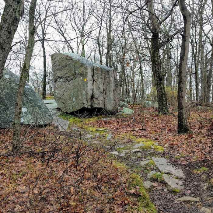 There are interesting glacial rock deposits to explore along the Yellow Trail. Near Yellow Trail