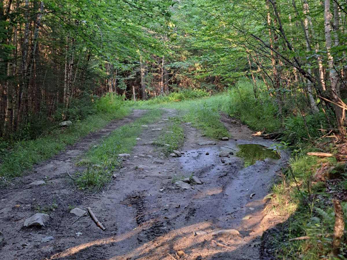 Lovejoy Brook Rd / Kilton Rd photo 4