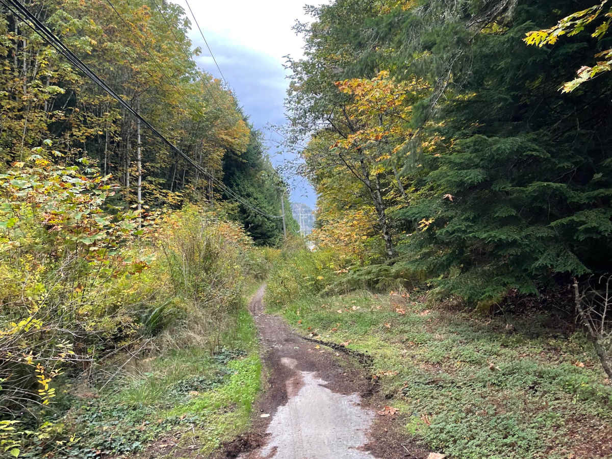 Old Government Road Single Track photo 6