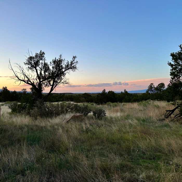 Near CDT: Ley Alternate (El Malpais Road + The Narrows)