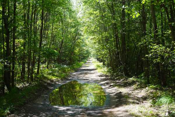 Sawyer Road