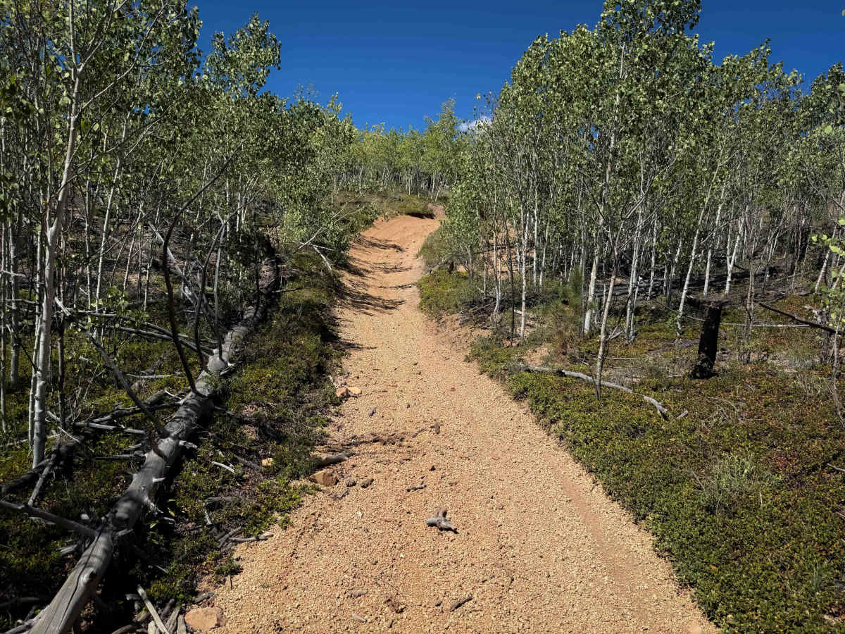 Trail 735 photo 5