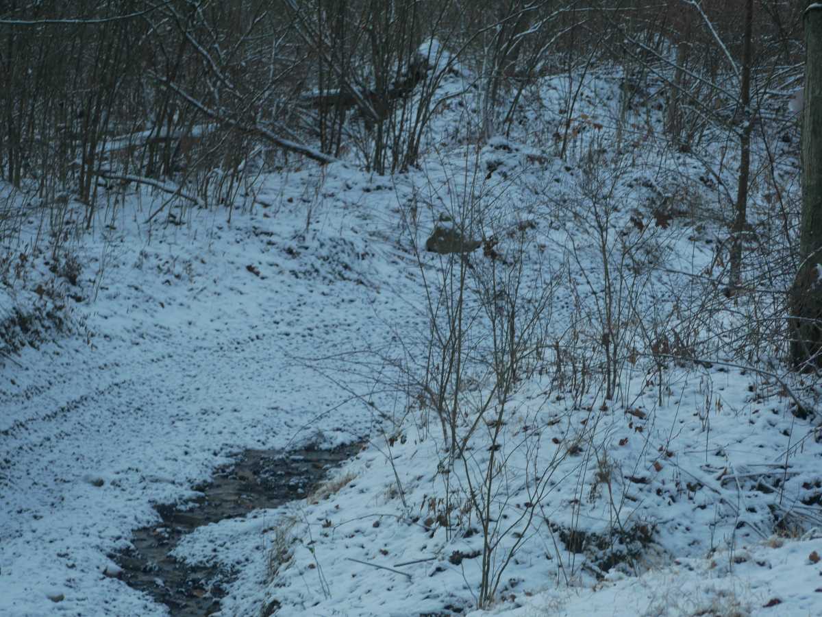 Trail 37 photo 4