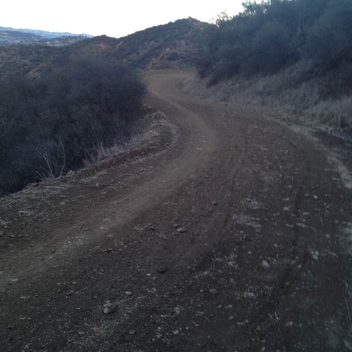 Near Triunfo Canyon Trail