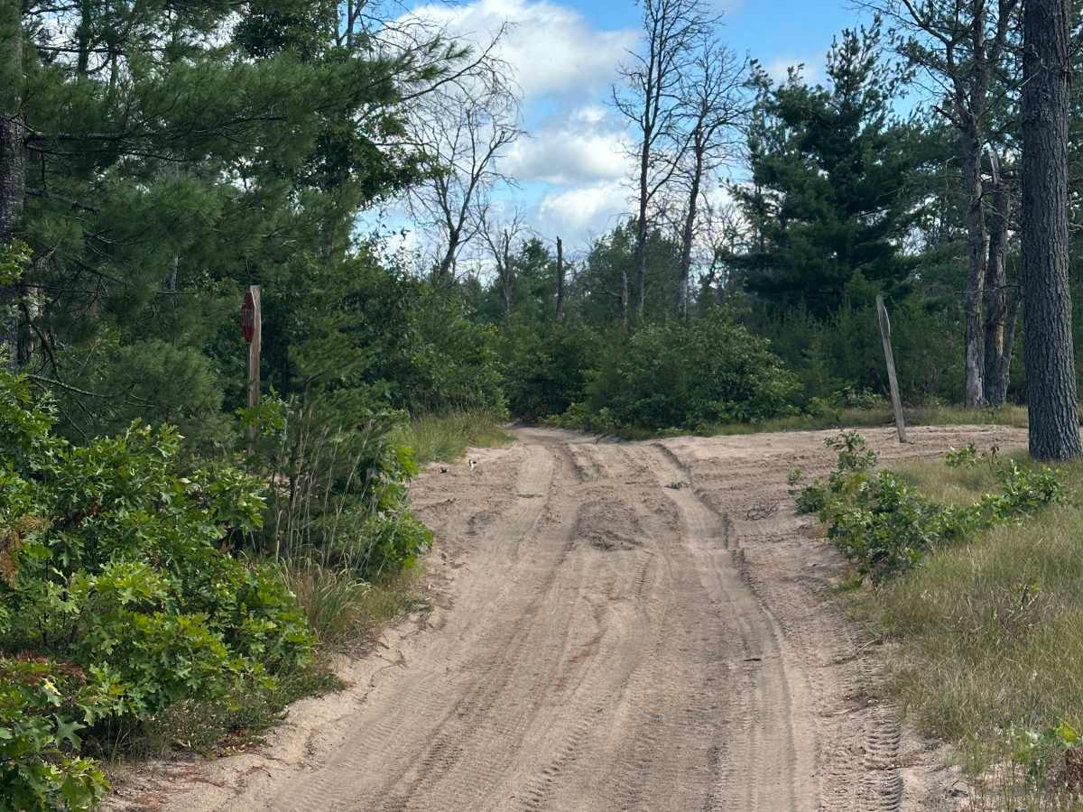 Pierce Road photo 6