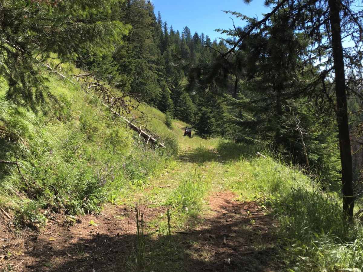 Mack King Trail photo 6
