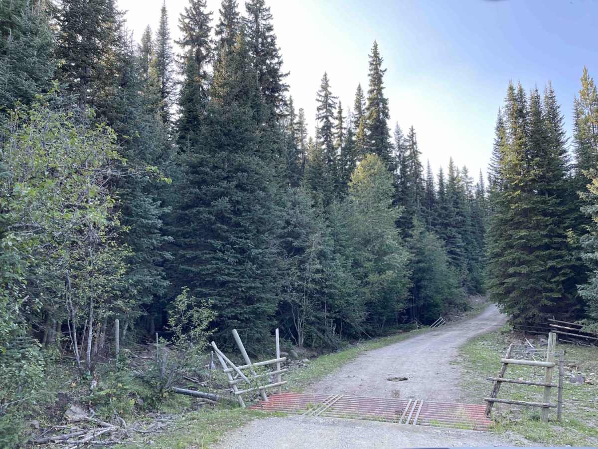 CJ Express FSR trail photo