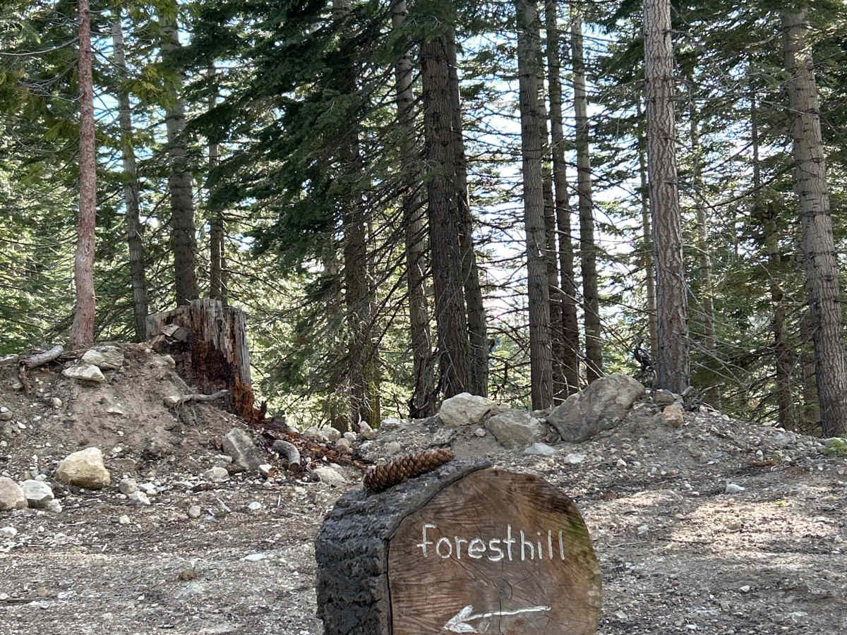 Soda Springs Road photo 6