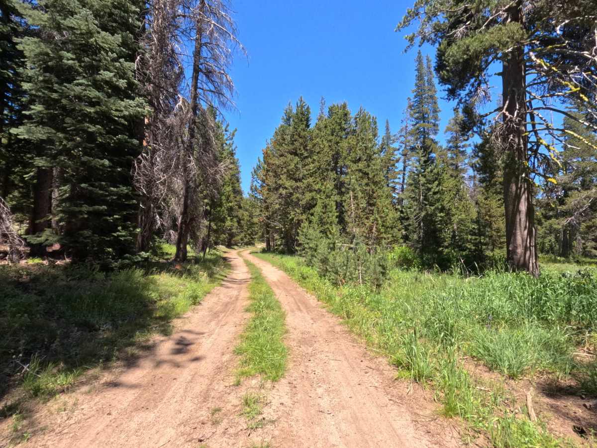 South Sucker Road - FS 11N26E photo 3