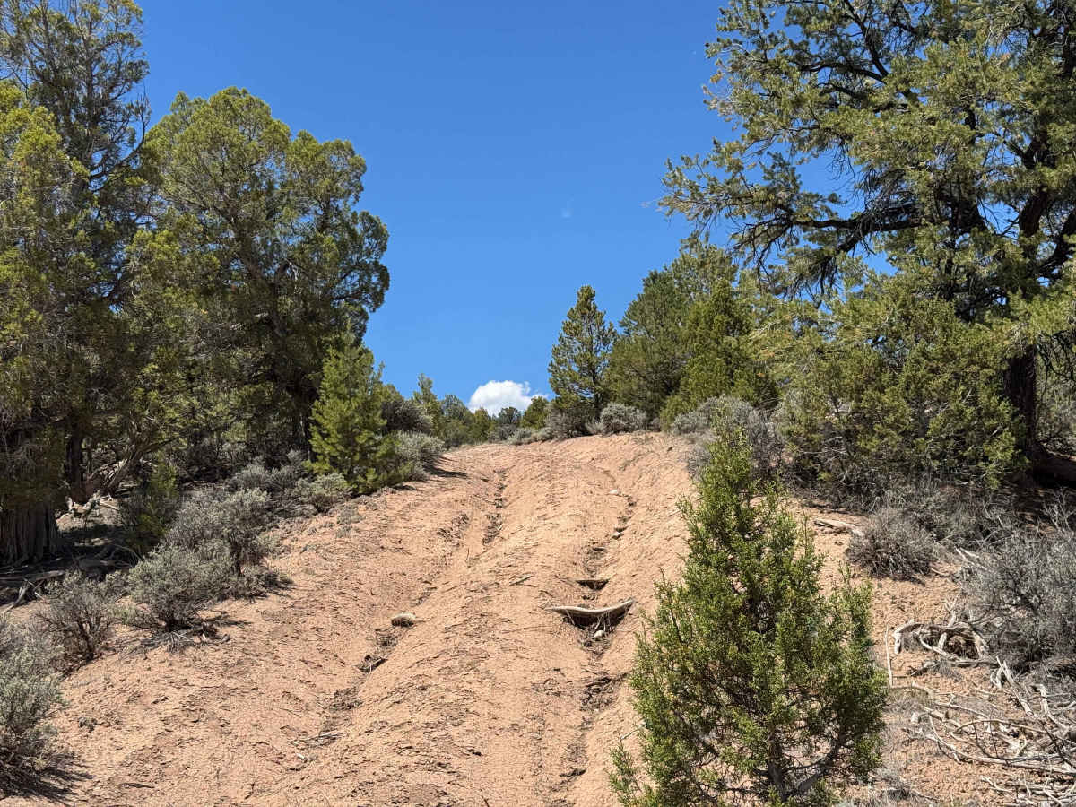 BLM 8463D trail photo