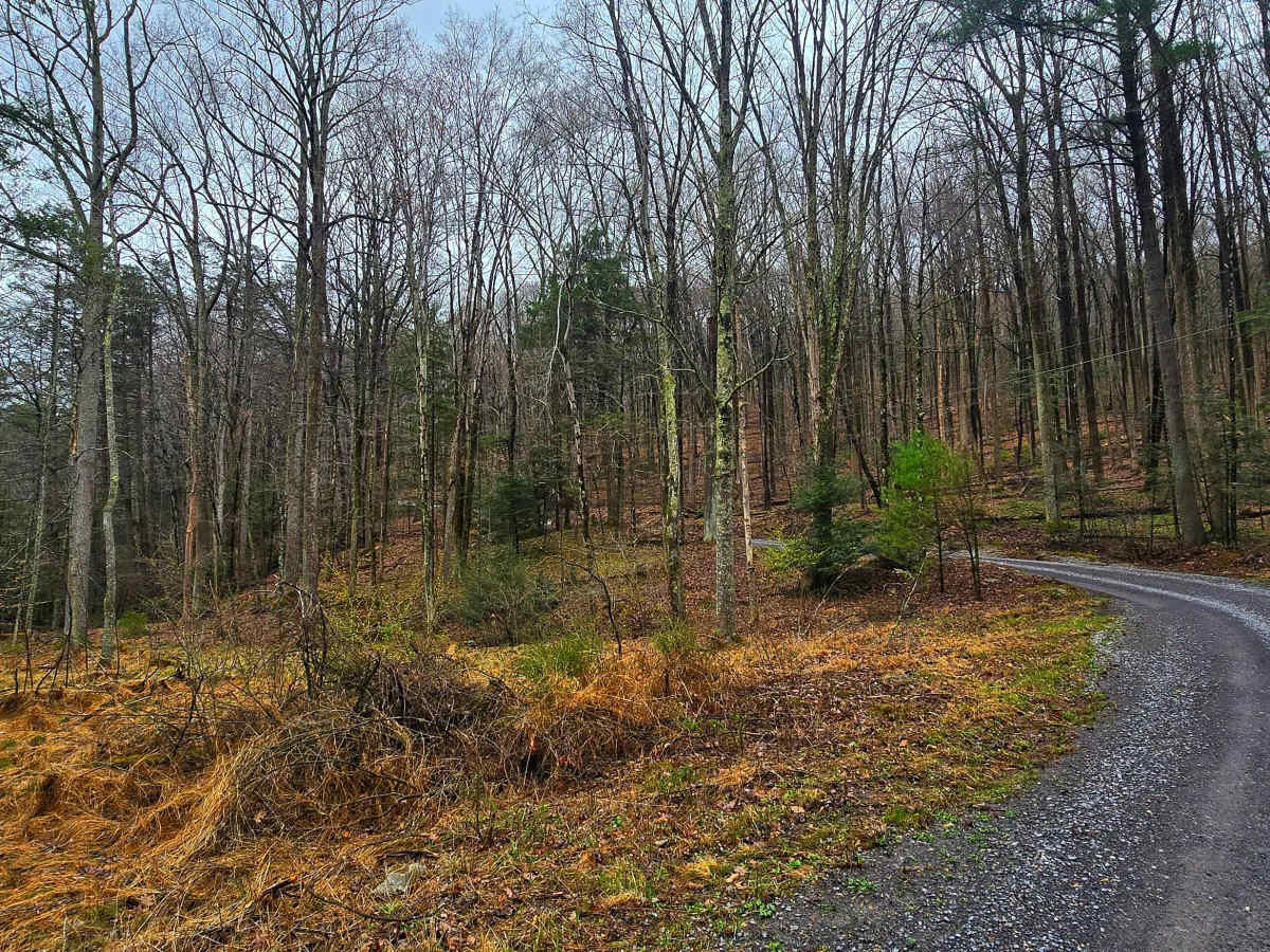 Meadows Road photo 2