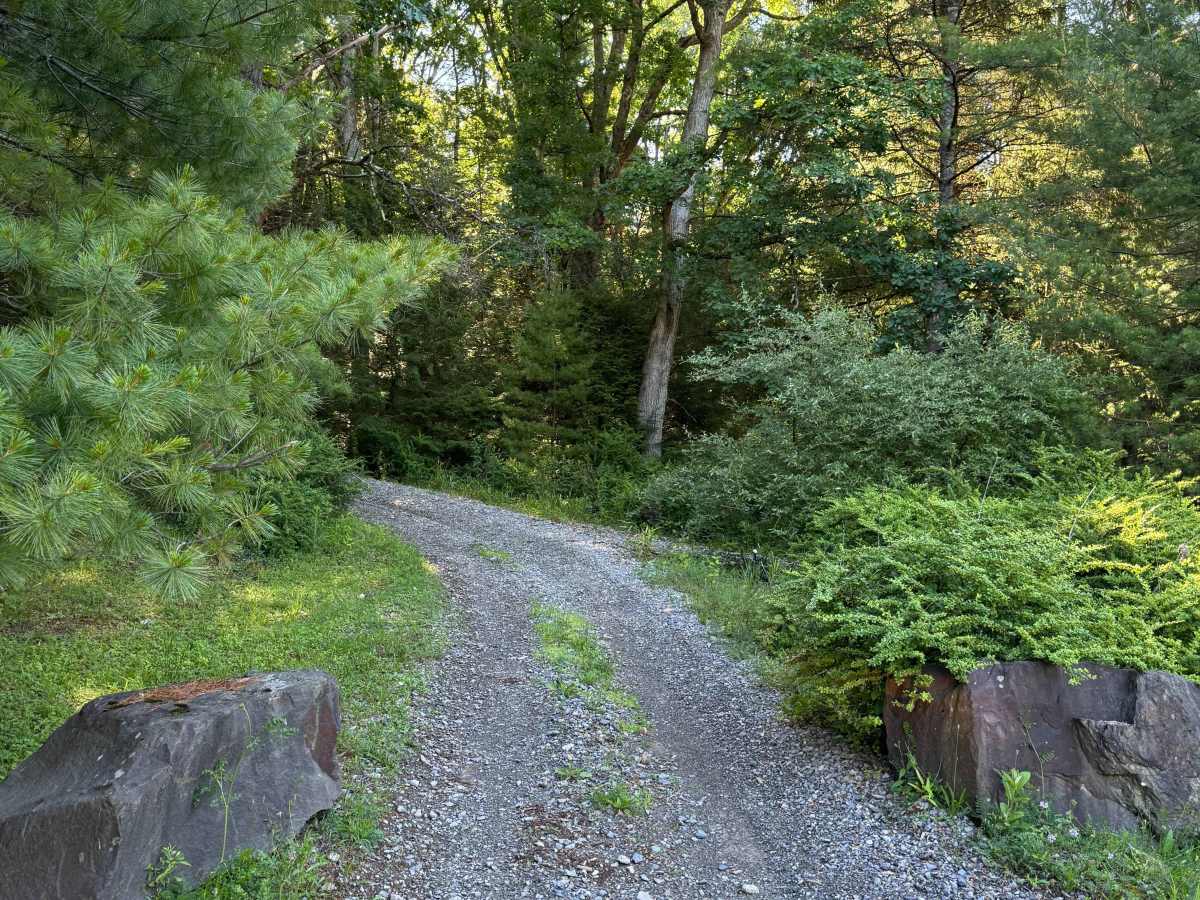 South Access Trail trail photo