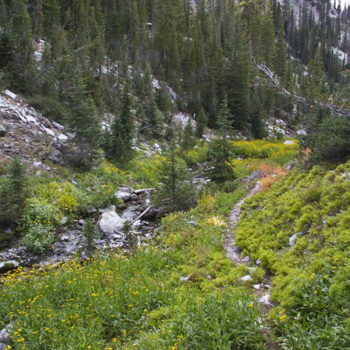 Near Little Queens River + Scenic Lake