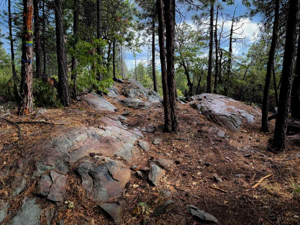 Chandler  trail photo