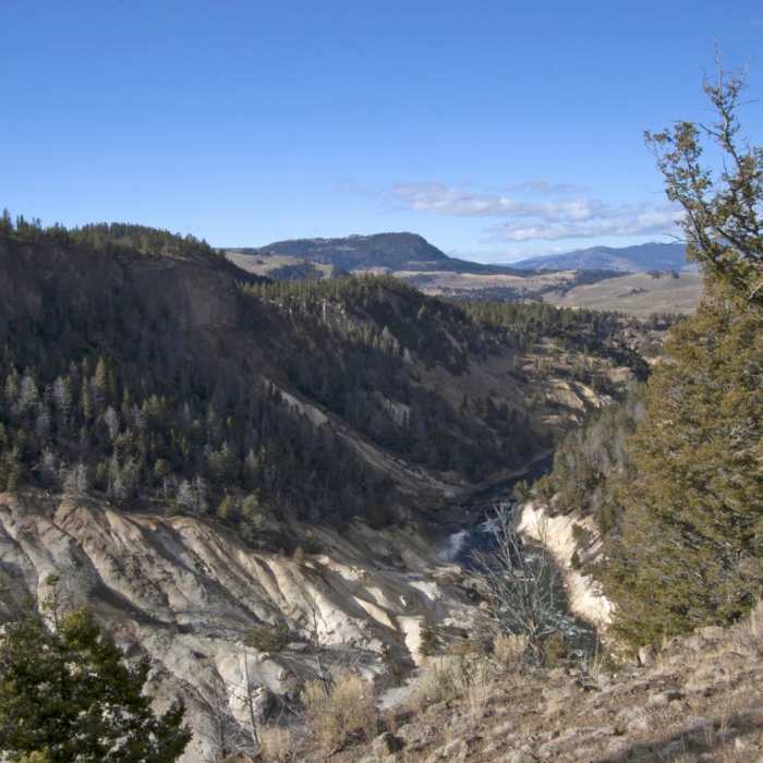 Near Yellowstone River Picnic Trail