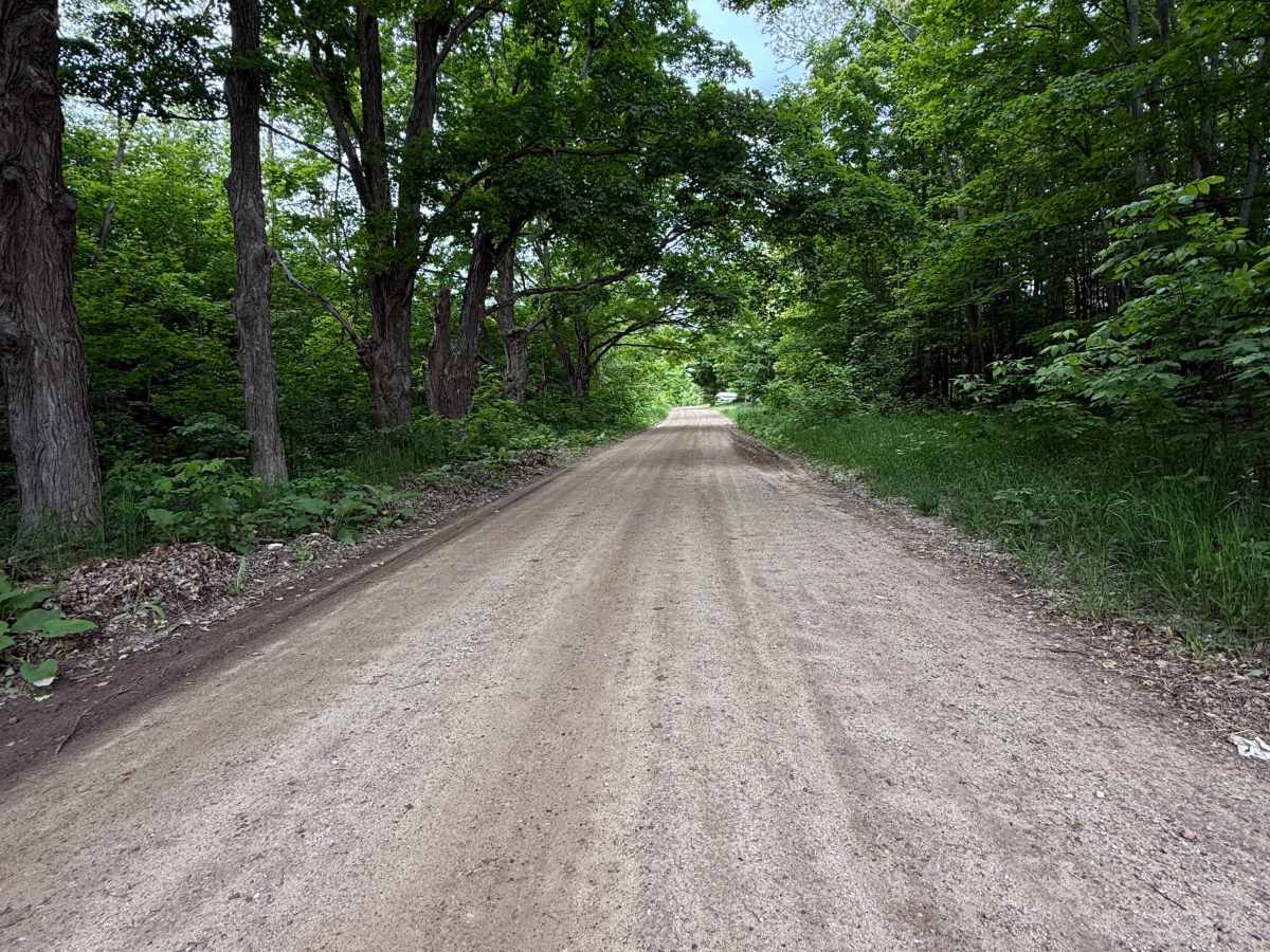 Townline Trail photo 3