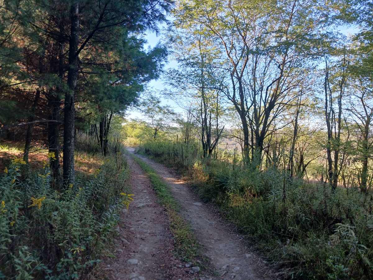 Inner Loop - West - Rock Run Recreation Area trail photo