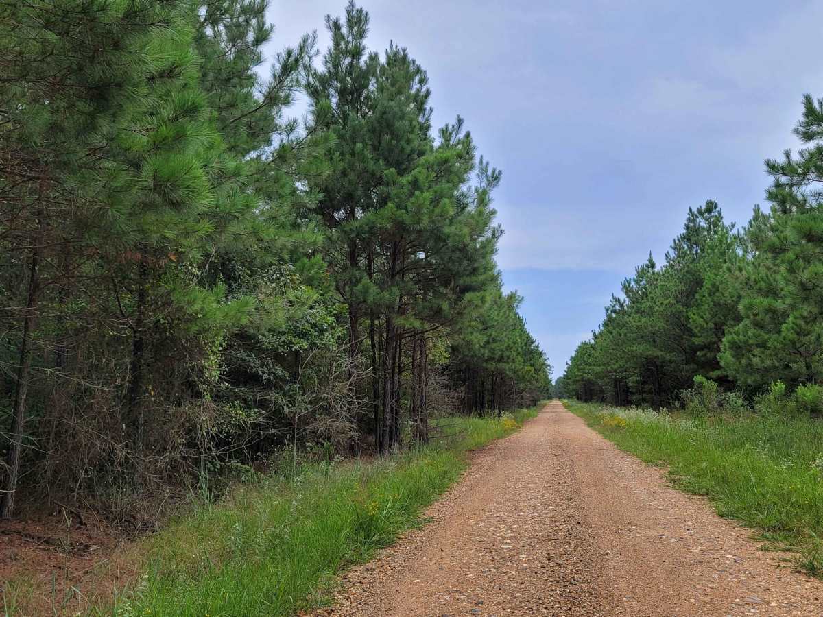 Bois d'Ark Trail back to Interstate 30 photo 4