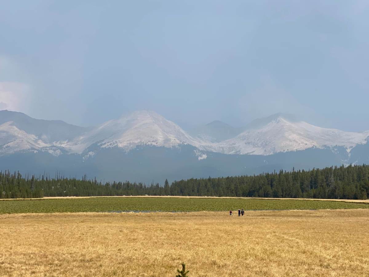 Lily Pond trail photo