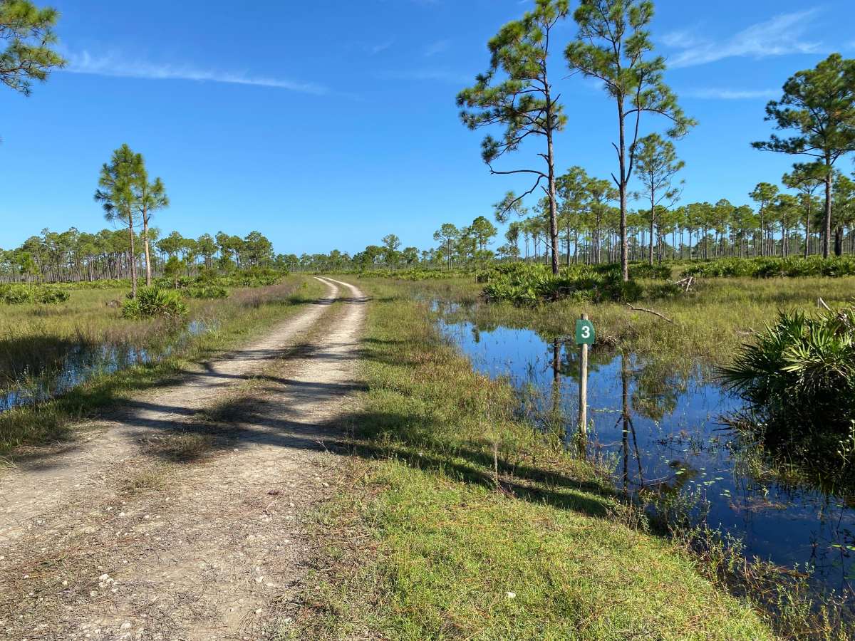 Road 3 trail photo