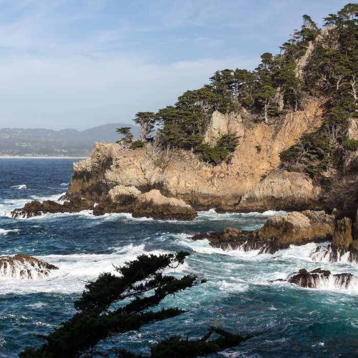 Near Cypress Grove Trail