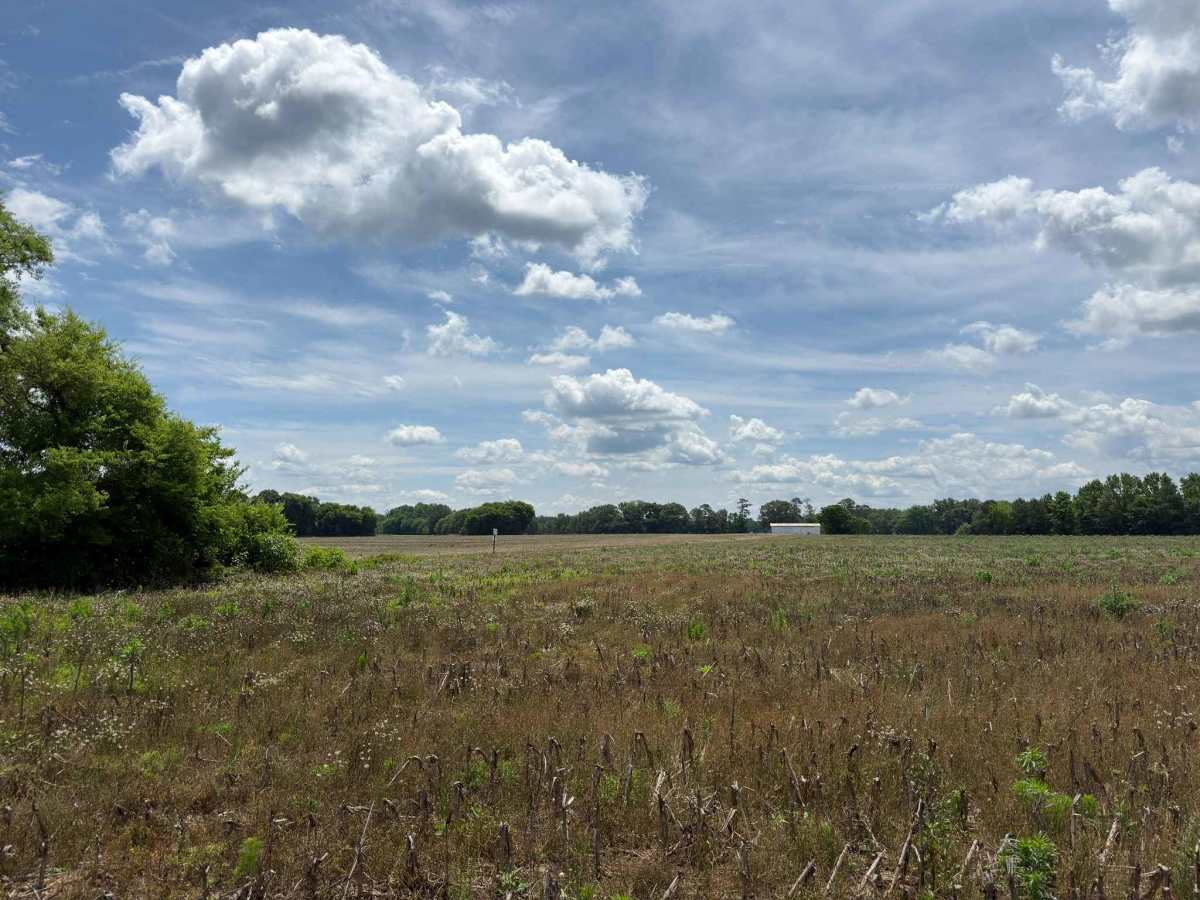 Andrews Pond Road photo 6