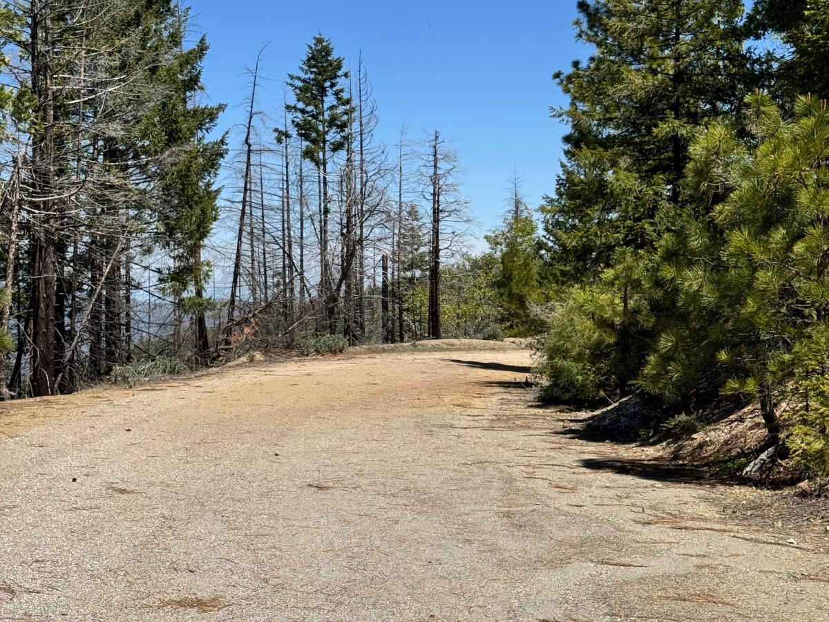 Lower Middle Ridge - FS 21N07 photo 3