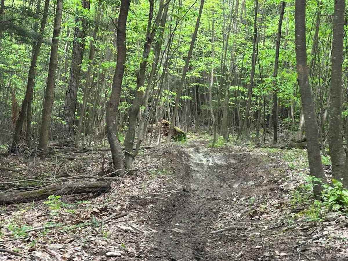 Orange Single Track A- B4 photo 6