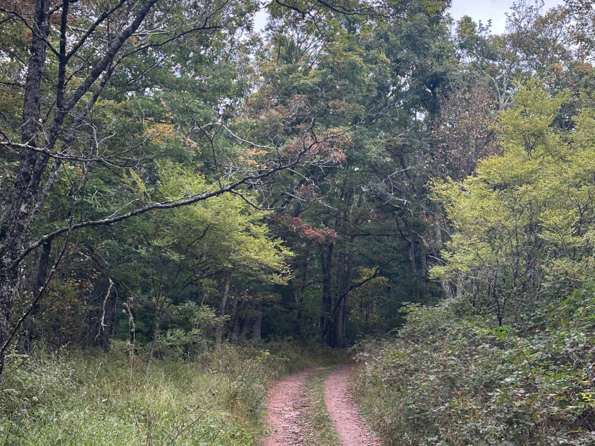 Cow Knob photo 5
