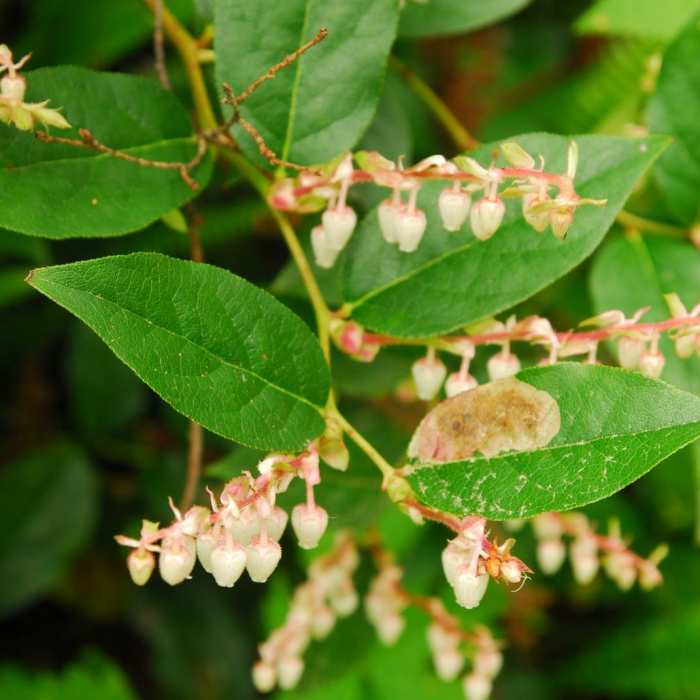 Near Cathedral Tree Hike