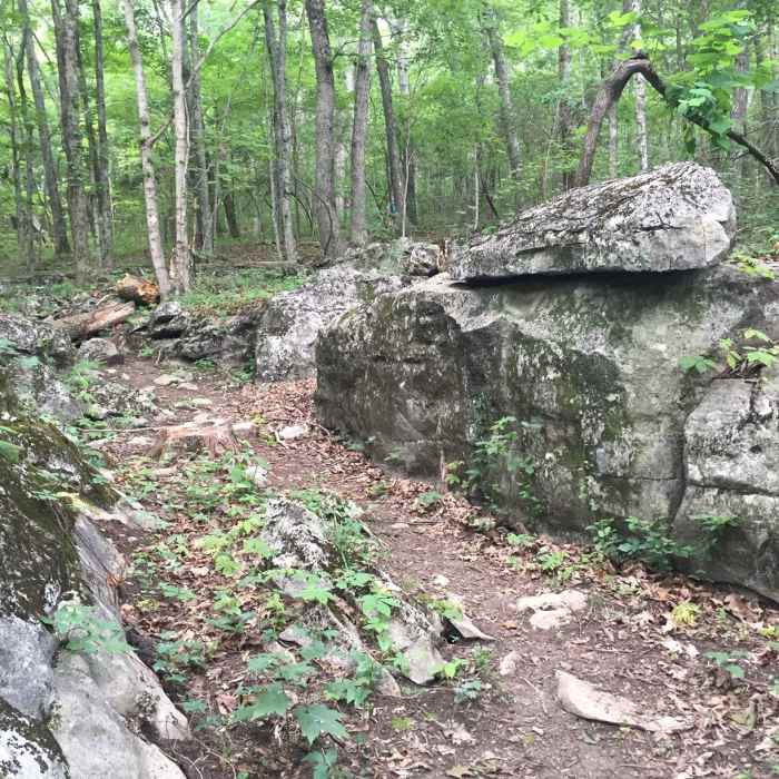 Small rock walls on Through Springs. Near Discovery Trail