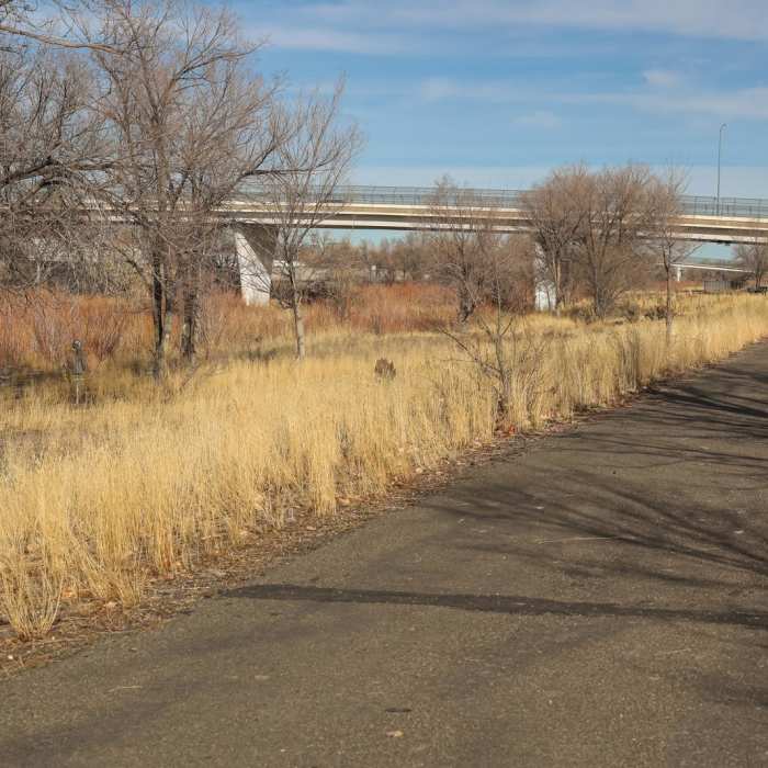 Near Humboldt River Trail