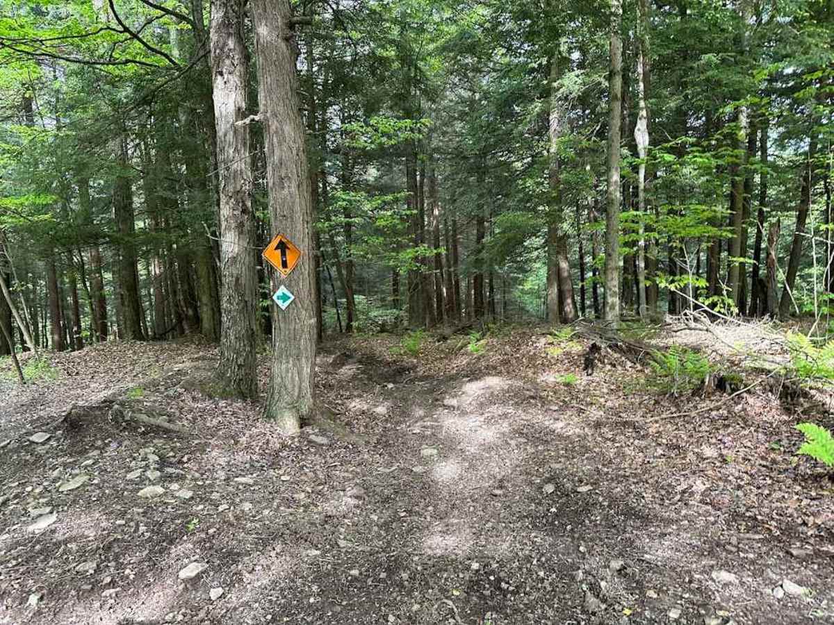 Orange Single Track Campground - B10 photo 6