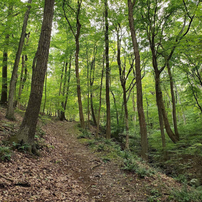 Near Arrow Island Trail